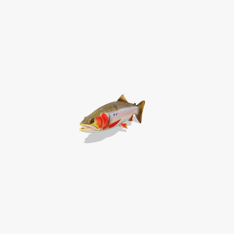 Artistic Cutthroat Trout with Detailed Markings model pack